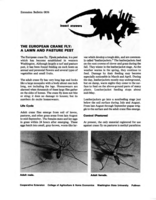 The European crane fly : a lawn and pasture pest