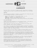 Growers guide to vegetable crops: Cabbage