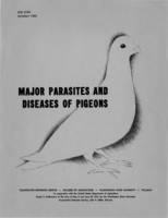 Major parasites and diseases of pigeons