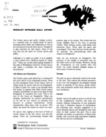 Cooley spruce gall aphid