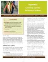 Vegetables: Growing carrots in home gardens