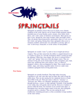 Springtails