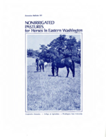 Nonirrigated pastures for horses in eastern Washington