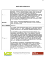 Beetle Kill to Bioenergy