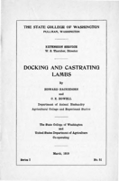 Docking and castrating lambs