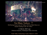 Too Many Turkeys??