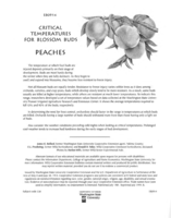 Peaches: Critical temperatures for blossom buds