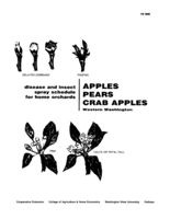 Disease and insect spray program for home gardens: Apples, pears, crab apples: Western Washington