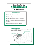 Crop Profile for Spinach Seed in Washington