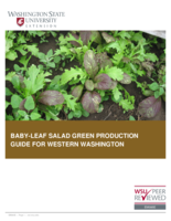 Baby-leaf salad green production guide for western Washington