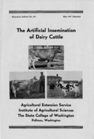 The artificial insemination of dairy cattle
