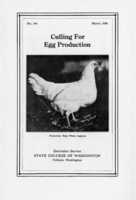 Culling for egg production