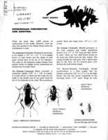 Insect answers: Cockroach prevention and control