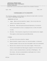 Clipping beef cattle for shows