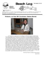 Beach Log, November 2010