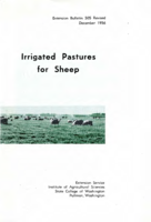 Irrigated pastures for sheep