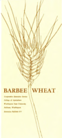 Barbee wheat