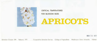 Apricots: critical temperatures for blossom buds