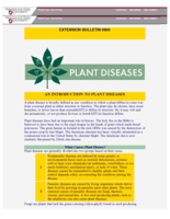 Plant Diseases: An Introduction