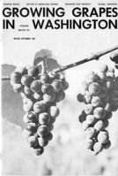 Growing grapes in Washington