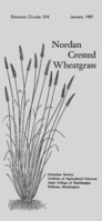 Nordan crested wheatgrass