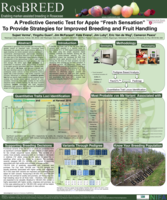 Rosbreed enabling marker-assisted breeding in Rosaceae A predictive genetic test for apple "fresh sensation" to provide strategies for improved breeding and fruit handling