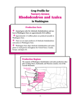 Crop Profile for Nursery-Grown Rhododendron and Azalea in Washington