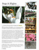 Bugs and Blights, March 2013