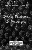 Growing raspberries in Washington