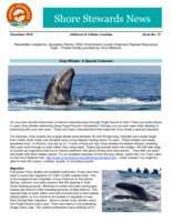 Shore Stewards News, Jefferson and Clallam Counties, WA, Issue 73
