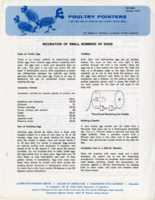 Incubation of small number of eggs