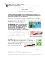 Bugs and Blights, December 2010