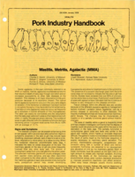 Mastitis, metritis, agalactia (MMA)