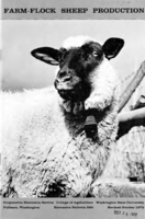 Farm-flock sheep production