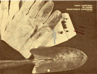 Pest control in home vegetable gardens