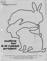 Outline for 4-H rabbit project