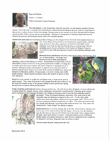 Bugs and Blights, November 2013