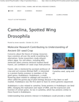 On Solid Ground, October 20, 2010