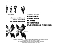 Disease and insect spray program for home gardens: Peaches, apricots, plums, cherries, flowering prunus