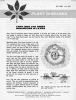 Plant diseases: Fairy ring and other mushrooms in lawns