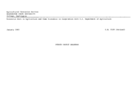 Potato insect calendar