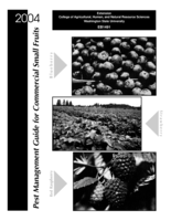 Pest Management Guide for Commercial Small Fruits