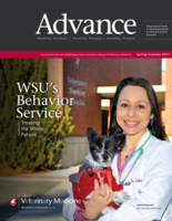 Advance, Spring/Summer 2017