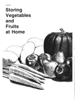 Storing vegetables and fruits at home