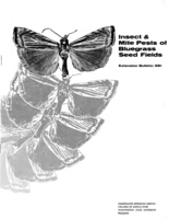 Insect & mite pests of bluegrass seed fields