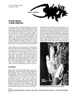 Gypsy moth : a new arrival