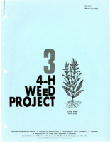 4-H weed project 3
