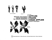 Disease and insect spray program for home gardens: Apples, pears, crab apples: Western Washington