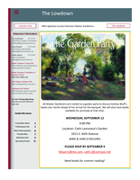 Lowdown, September 2018