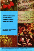 Strawberry nutrient deficiency symptoms